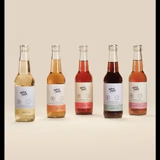 Why Not - Refrigerante Bio