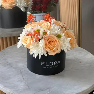 Coffret Soleil