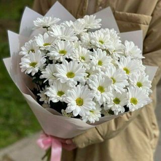 Ramo de 10 margaritas blancas.