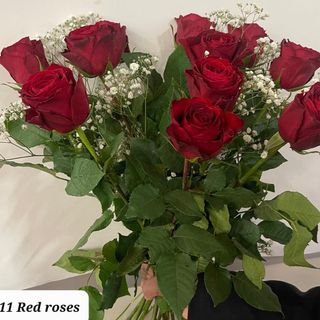 Red Roses 