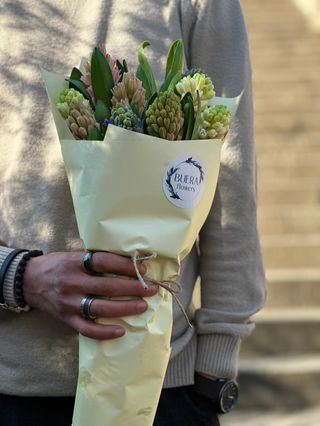 სუმბული (10ტოტი)