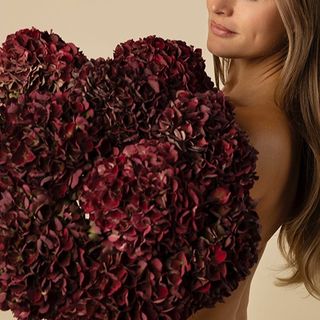 Ramo de 10 hortensias granate