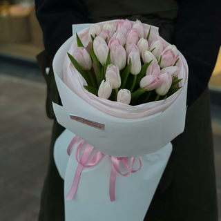 27 тюльпанів Dynasty 