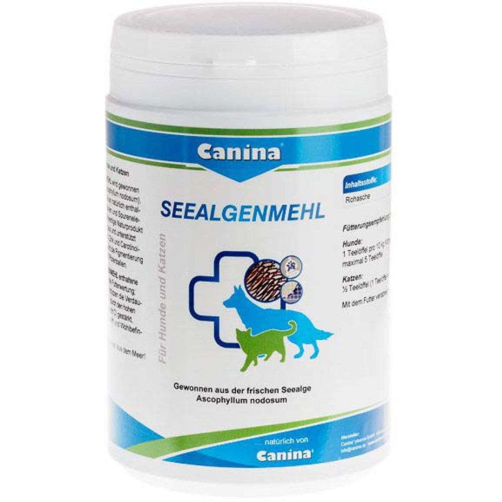 Dodaci prehrani mačke