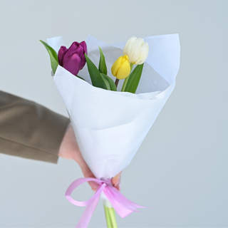 3 ცალი ჰოლანდიოური ტიტა