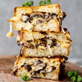 Corn Cheese Mushroom Grilled Sandwich
