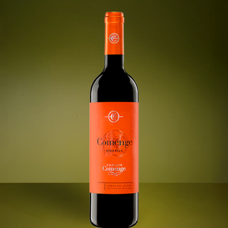 BOTELLA DE VINO TINTO BIBERIUS