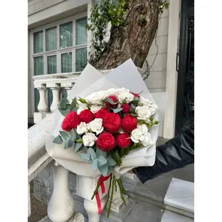 წითელი პიონისებრი და თეთრი სპრეები
