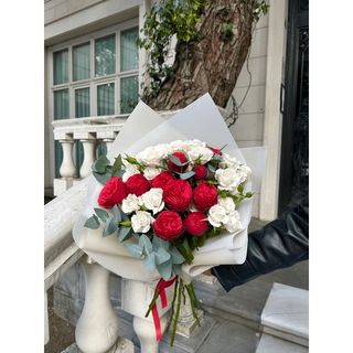 წითელი პიონისებრი და თეთრი სპრეები