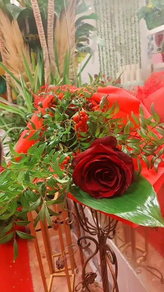 Rosa rossa 