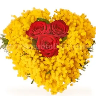 Cuore Con Mimosa E Rose