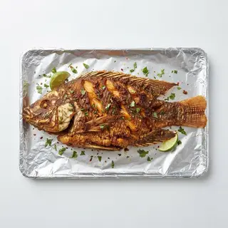 Palm Fish