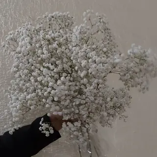 ramo de paniculata