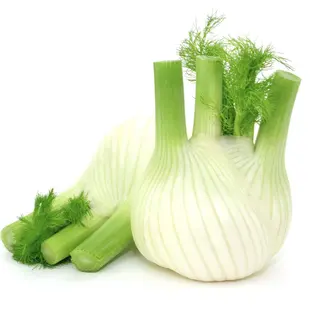 FINOCCHI