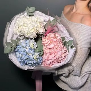Mix din 3 hortensii