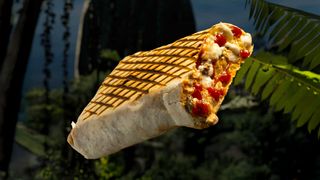 Cheese Kebab Gorilla Size