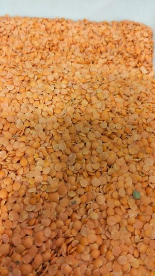 Lenticchie decorticate 500 g