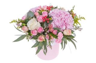 Flower Box Hortensja 