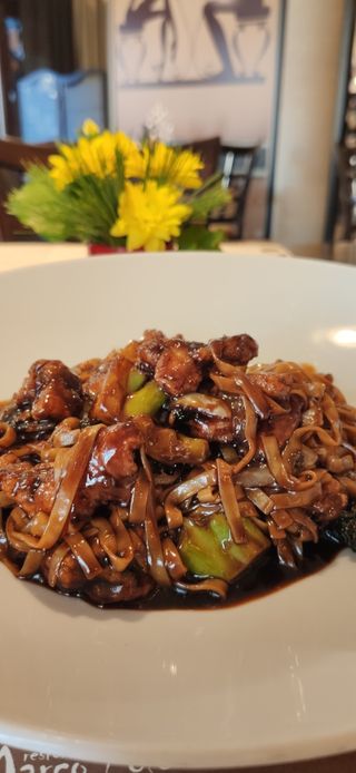 Wok TERIJAKI Piletina sa nudlama 