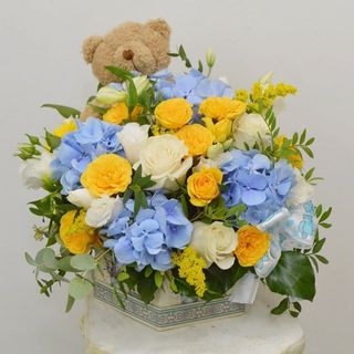 Aranjament nou-nascut cu ursulet