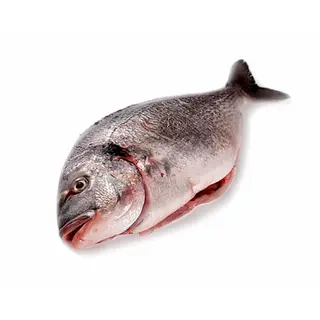 Dorada Limpia Entera  Kg.