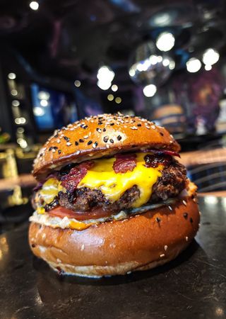 FACTORY S BASIC BURGR 400GR