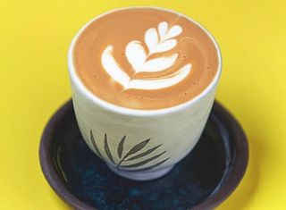 Cappuccino Bio Fairtrade 