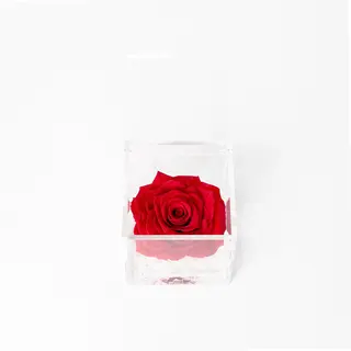 Grande Flowercube