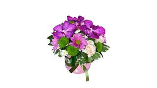 Kutija sa tri orhideje