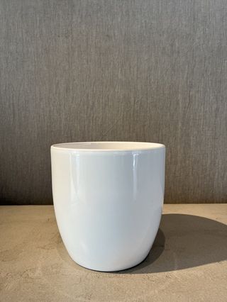 Test Ceràmica Anthurium