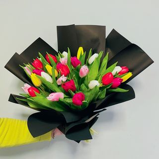 Zuchwałe tulipany - 15 sztuk