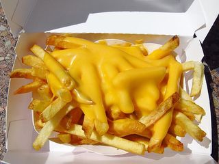 Frites au Cheddar