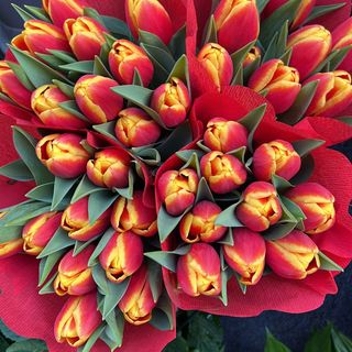 Mazzo tulipani  gold extra 40 pezzi   Confezione regalo colori assortiti 
