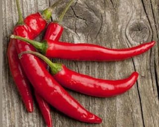 Перець чілі (5г)