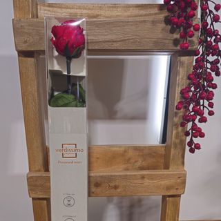 Rosa ETERNA Roja de tallo largo