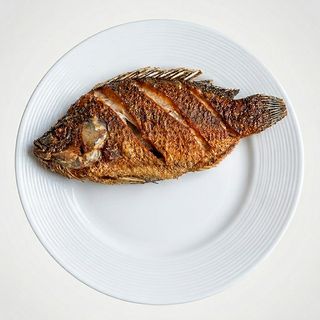 Tilapia Fish