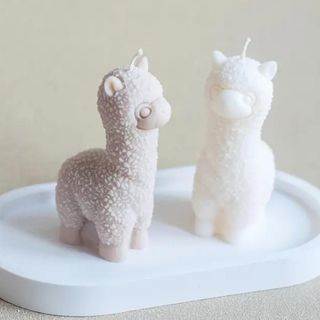 Alpaca