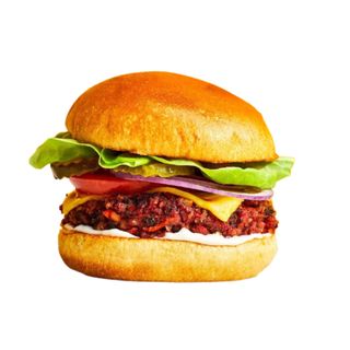 Hambúrguer de vegano (vegan)