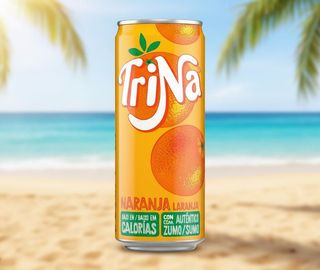 Trina® Naranja Lata 33cl