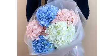 Bukiet z 5 kolorowych hortensji