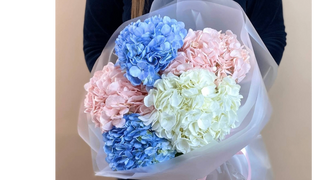 Bukiet z 5 kolorowych hortensji