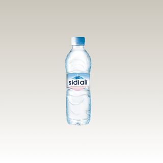 Sidi Ali 0,5l