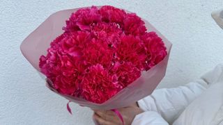 Bukiet malinowych goździków - 15 szt