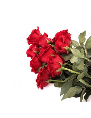 Fascio Rose rosse extra olandesi 