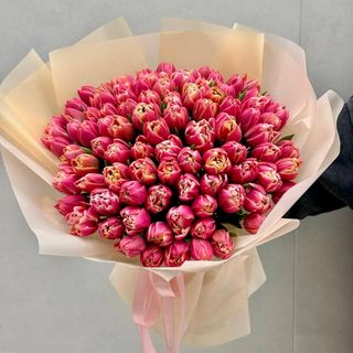 101 тюльпан Колумбус