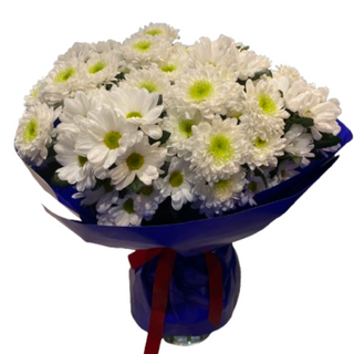 Bukiet Margaretek <<M<<