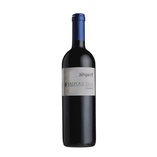 601 Valpolicella Classico Speri