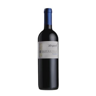 601 Valpolicella Classico Speri