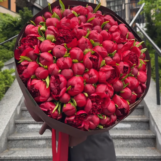 Хіт Піон 101-2025