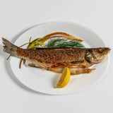 Лаврак на туч